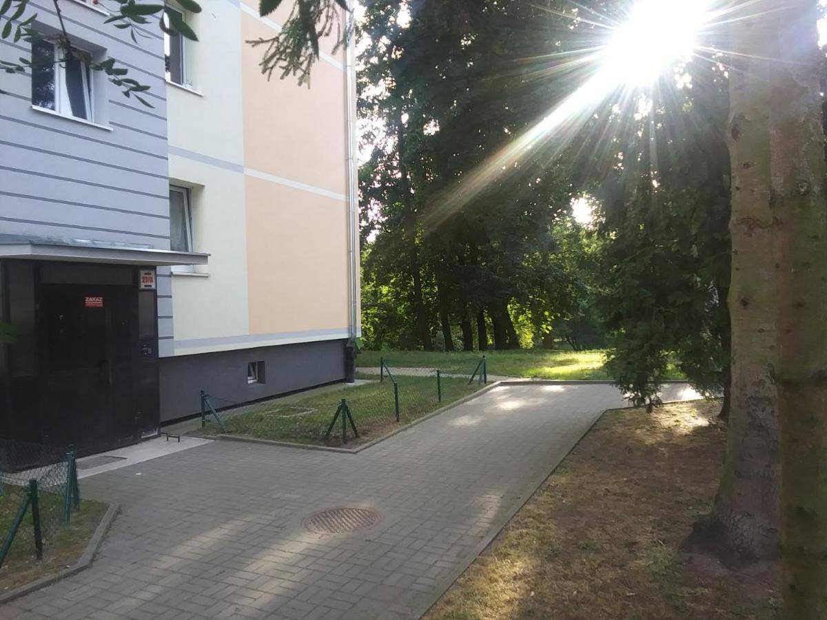Apartment Przytulne Mieszkanie Przy Parku Modrzewie *